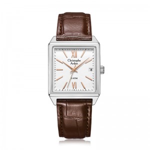 Christophe Arden CA 2003 Silver White Brown Leather Man MDLSSSLBO